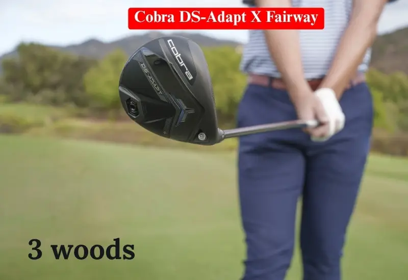 Cobra golf club on course